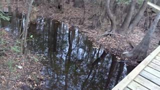 Cypress creek